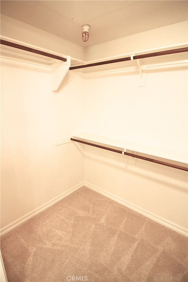 629 Traction Ave Unit 508, Los Angeles, CA 90013 - walk in closet featuring carpet
