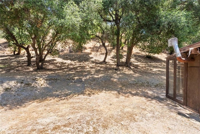 31039 Hasley Canyon Rd, Castaic, CA 91384 - view of yard