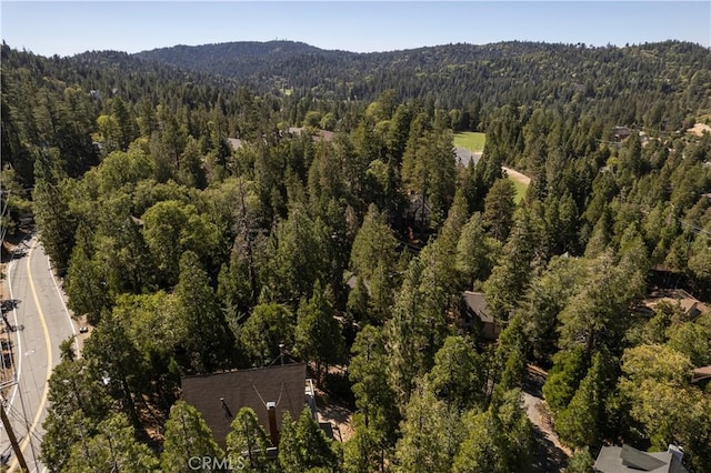 832 Rhine Rd, Lake Arrowhead, CA 92352 - aerial view of property and surrounding area featuring a heavily wooded area and a mountain backdrop