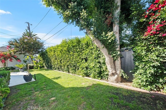 2329 Vineyard Ave, Los Angeles, CA 90016 - view of fenced backyard