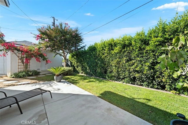 2329 Vineyard Ave, Los Angeles, CA 90016 - view of green lawn with a patio area
