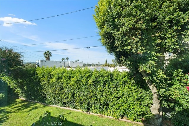 2329 Vineyard Ave, Los Angeles, CA 90016 - view of yard