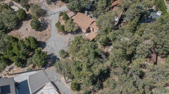 1211 Bridal Path, Rimforest, CA 92378 - aerial view of property and surrounding area