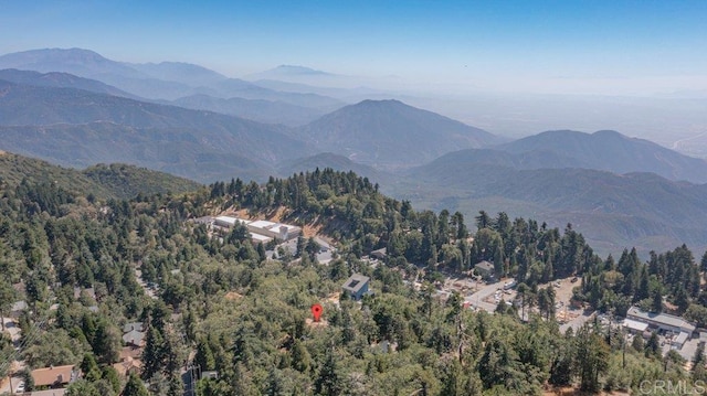 1211 Bridal Path, Rimforest, CA 92378 - mountain view with a heavily wooded area