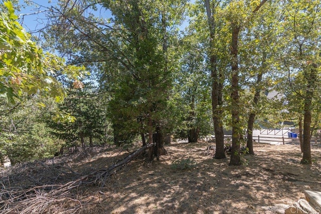 1211 Bridal Path, Rimforest, CA 92378 - view of local wilderness