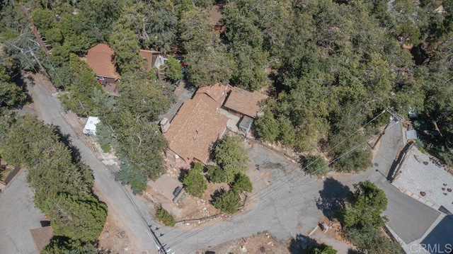 1211 Bridal Path, Rimforest, CA 92378 - aerial overview of property's location