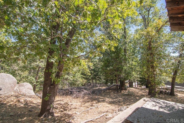 1211 Bridal Path, Rimforest, CA 92378 - view of yard