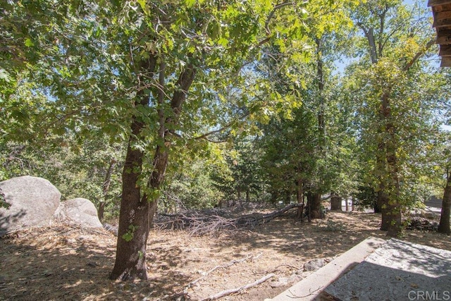 1211 Bridal Path, Rimforest, CA 92378 - view of yard