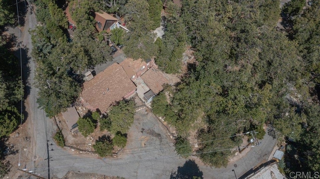 1211 Bridal Path, Rimforest, CA 92378 - view of property location