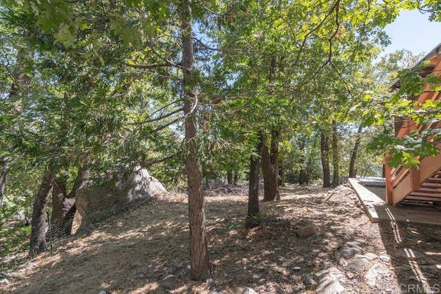 1211 Bridal Path, Rimforest, CA 92378 - view of yard
