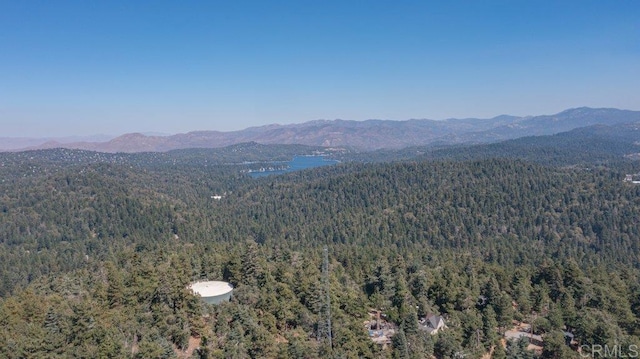 1211 Bridal Path, Rimforest, CA 92378 - view of mountain background featuring a forest