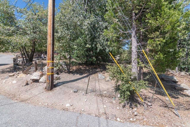 1211 Bridal Path, Rimforest, CA 92378 - view of yard