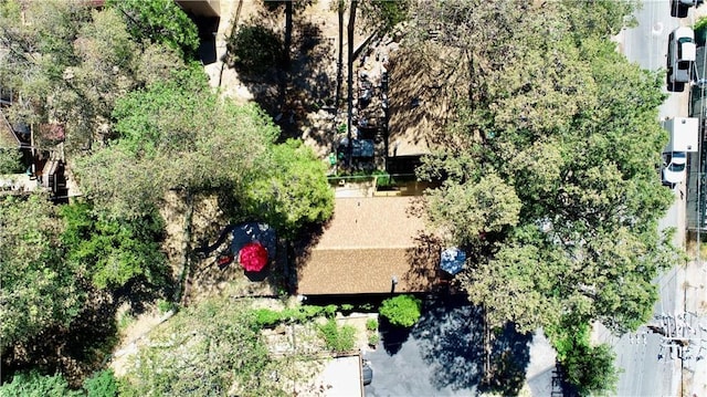 23728 Manzanita Dr, Crestline, CA 92325 - bird's eye view