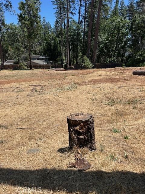 6372 Forest Ln, Paradise, CA 95969