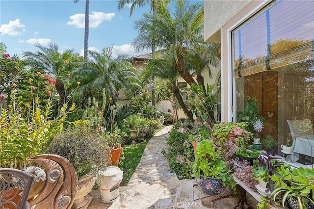 26942 Willow Tree Ln, Laguna Hills, CA 92653 - view of yard