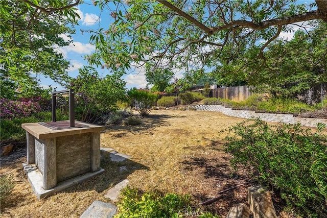 4766 Egret Ln, Paso Robles, CA 93446 - view of yard