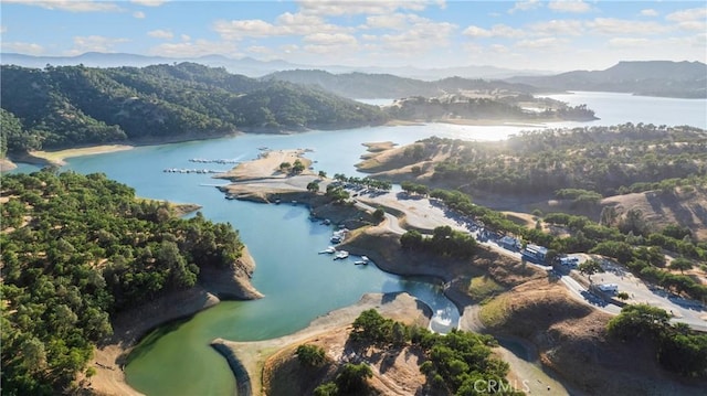 4766 Egret Ln, Paso Robles, CA 93446 - aerial view of property's location with a water and mountain view
