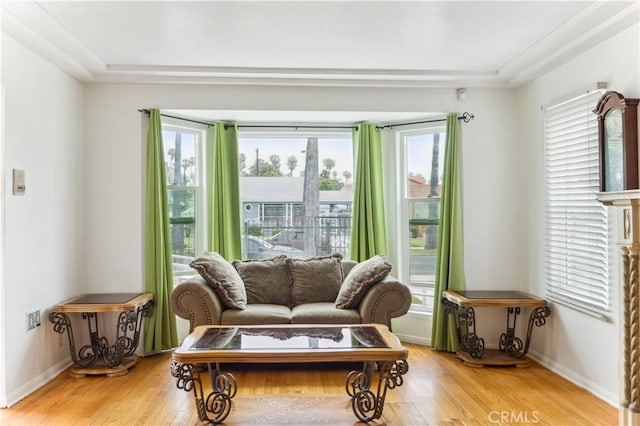 4519 9th Ave, Los Angeles, CA 90043 - living area with light wood finished floors