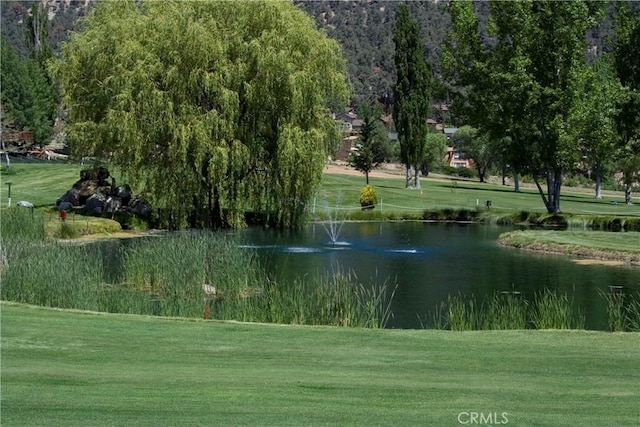 2229 Birchwood Way, Pine Mountain Club, CA 93222 - surrounding community with a water view and a yard