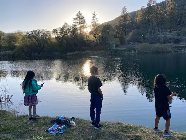 2229 Birchwood Way, Pine Mountain Club, CA 93222 - water view featuring a heavily wooded area