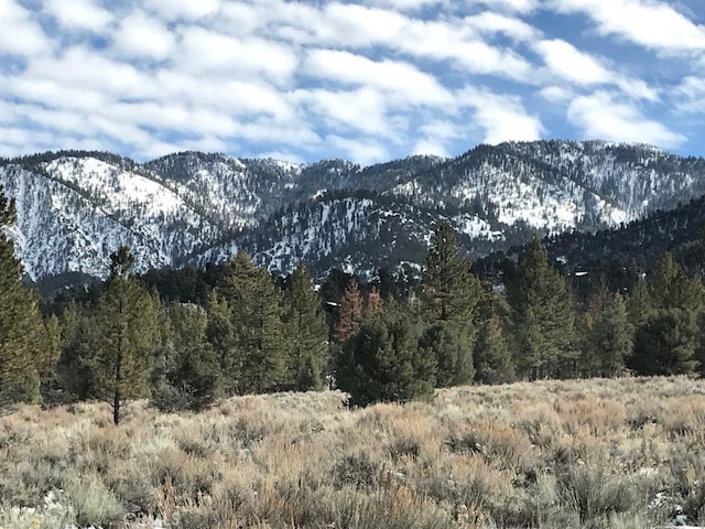 2229 Birchwood Way, Pine Mountain Club, CA 93222 - mountain view featuring a forest
