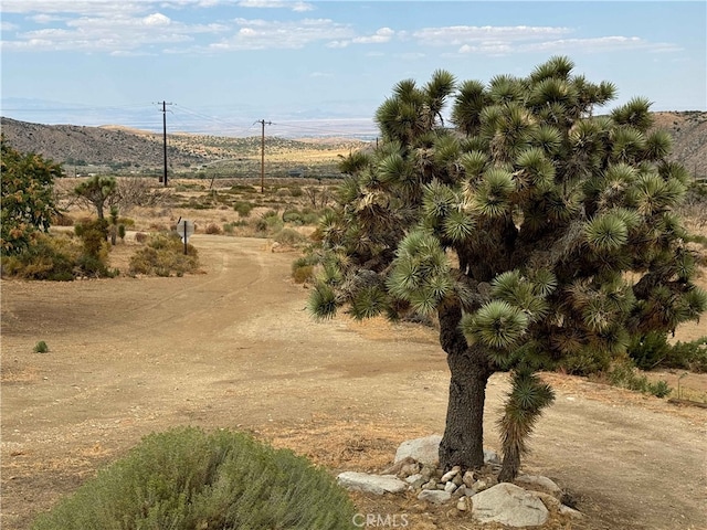 28714 Cruthers Creek Rd, Pearblossom, CA 93553 - mountain view