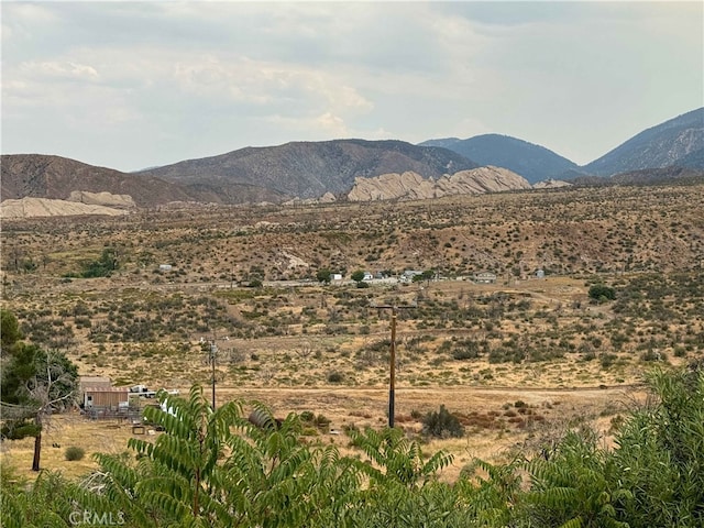 28714 Cruthers Creek Rd, Pearblossom, CA 93553 - view of mountain backdrop with rural landscape