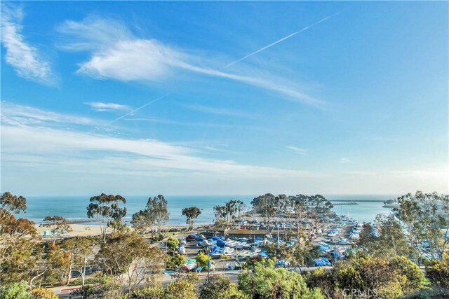 34561 Calle Portola, Dana Point, CA 92624 - water view