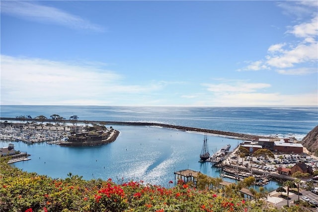 34561 Calle Portola, Dana Point, CA 92624 - water view
