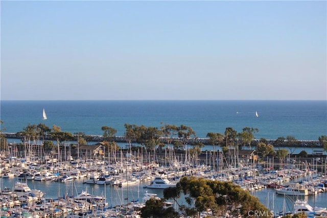34561 Calle Portola, Dana Point, CA 92624 - water view with numerous boat docks