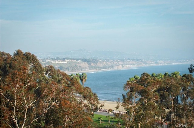 34561 Calle Portola, Dana Point, CA 92624 - water view