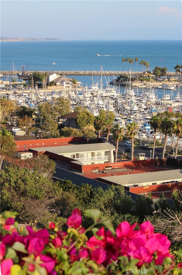 34561 Calle Portola, Dana Point, CA 92624 - water view featuring a marina