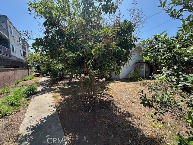 1045 Gladys Ave, Long Beach, CA 90804 - view of yard