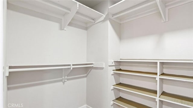 23208 Cuervo Dr, Valencia, CA 91354 - view of walk in closet
