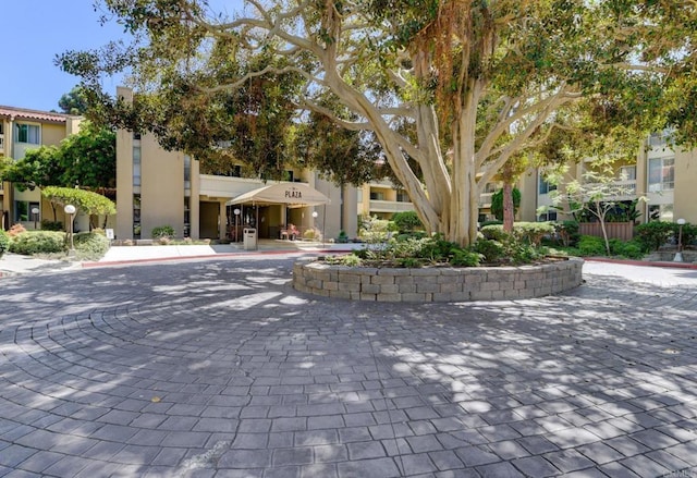 4600 Lamont St Unit 106, San Diego, CA 92109 - view of community