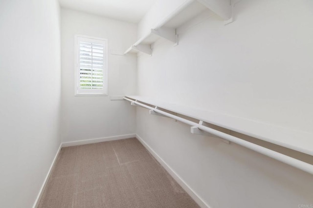 10667 Golden Willow Unit 152, San Diego, CA 92130 - spacious closet with light colored carpet