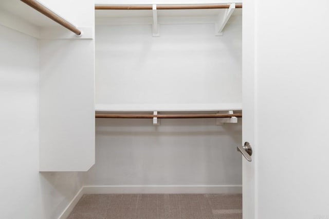 10667 Golden Willow Unit 152, San Diego, CA 92130 - walk in closet with carpet floors