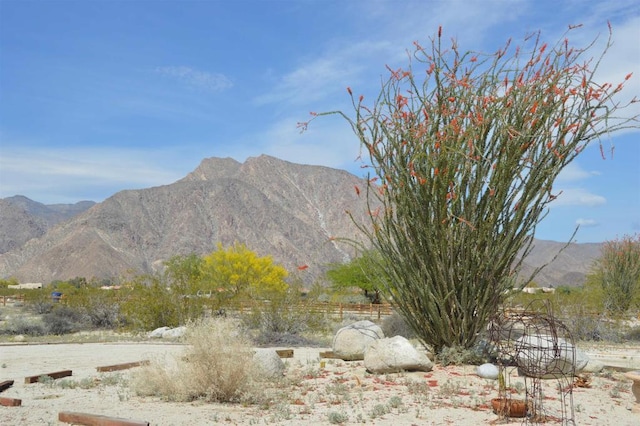 437 Ocotillo Cir, Borrego Springs, CA 92004 - photo 4