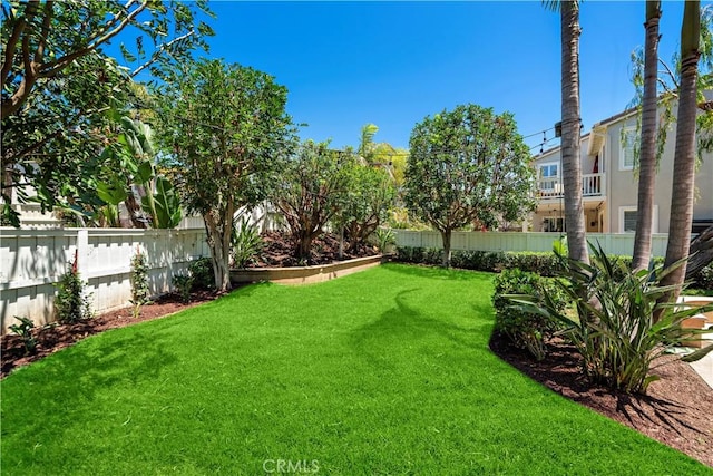 507 Corte Del Oro, San Clemente, CA 92673 - view of yard