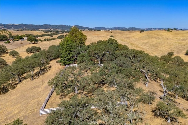 239 Woodland Rd, Paso Robles, CA 93446 - photo 53