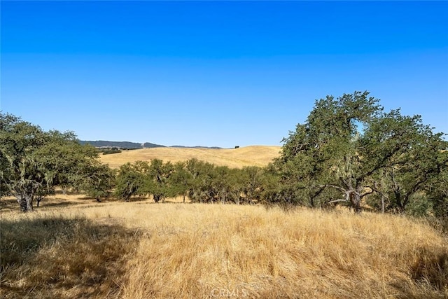 239 Woodland Rd, Paso Robles, CA 93446 - photo 47