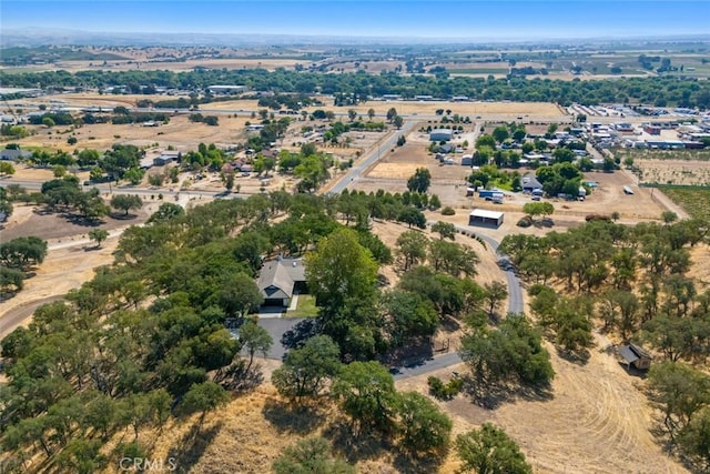 239 Woodland Rd, Paso Robles, CA 93446 - photo 49