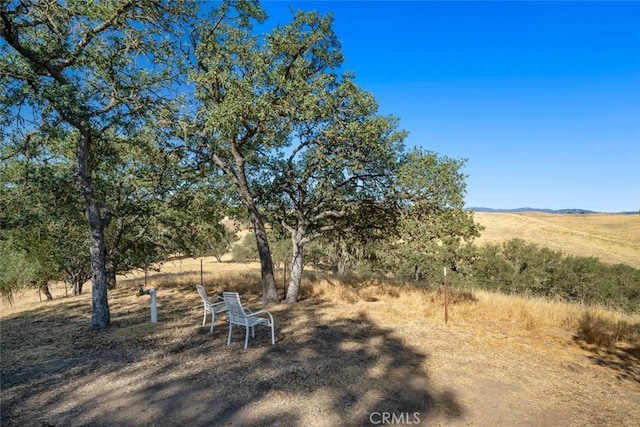 239 Woodland Rd, Paso Robles, CA 93446 - photo 46