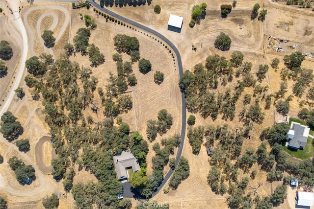 239 Woodland Rd, Paso Robles, CA 93446 - photo 56
