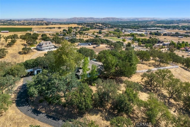 239 Woodland Rd, Paso Robles, CA 93446 - photo 50