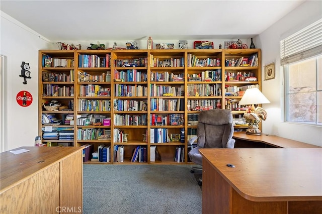 6411 Puma Pl, Rancho Cucamonga, CA 91737 - home office with healthy amount of natural light, carpet, and bookshelves