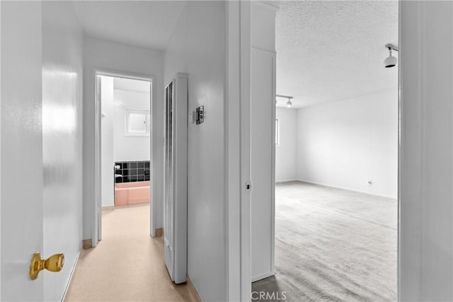12319 Aneta St, Culver City, CA 90230 - hallway featuring a textured ceiling and light colored carpet
