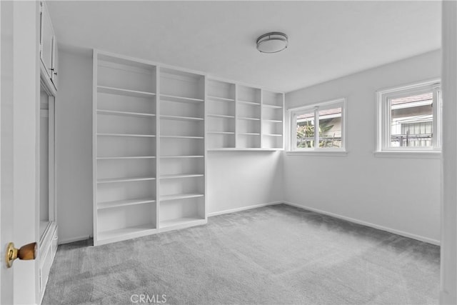 12319 Aneta St, Culver City, CA 90230 - walk in closet with carpet