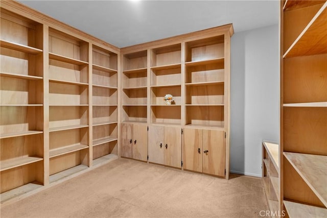 12319 Aneta St, Culver City, CA 90230 - walk in closet with light carpet