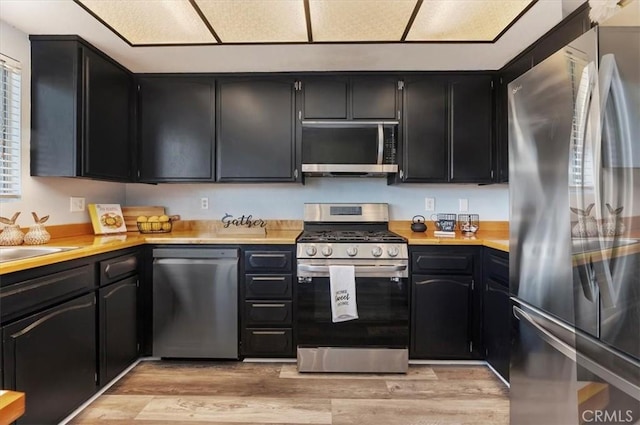 3920 Roxbury Dr, Hemet, CA 92545 - kitchen featuring appliances with stainless steel finishes, light countertops, dark cabinetry, and light wood finished floors